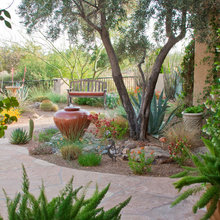 Wickenburg Landscape Ideas
