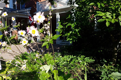 White flower gardens in a compact urban Ottawa setting