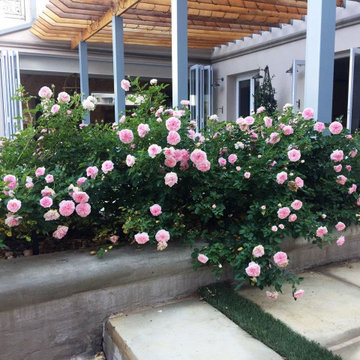 Gorgeous Gardens planters, raised flower beds