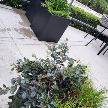 Starbucks Modern Planter Design