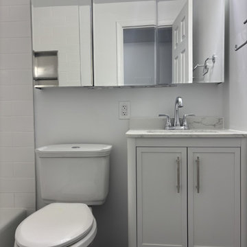 New Vanity, Medicine Cabinet and Toilet - Fort Greene Bathroom