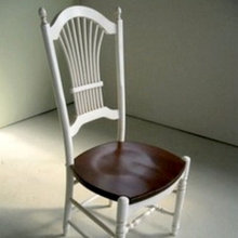 barbara_petrie's ideas
