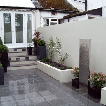 Modern Courtyard Garden