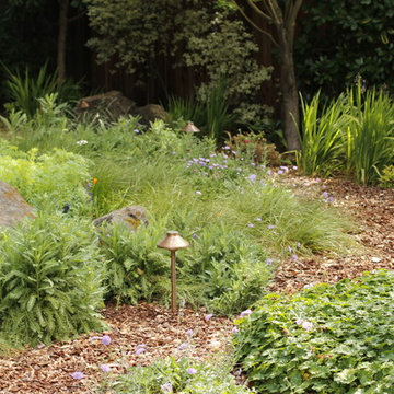 PETITE WILD MEADOW