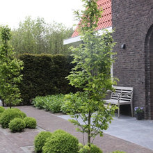 yard