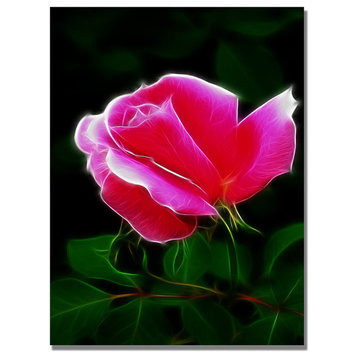 'Pink Rose Abstract' Canvas Art by Kathie McCurdy