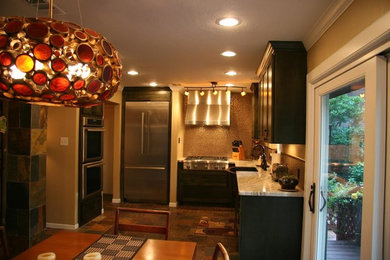Kitchen - contemporary kitchen idea in Houston