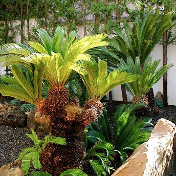 Las Xanas Jardín Japonés en Marbella.