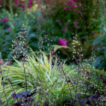 Vibrant Piedmont Front Yard