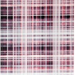 Prime Walls - Wallpaper - Products