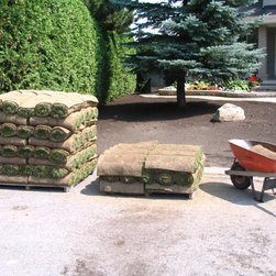 Sod Installation - Before - Bulbs And Seeds
