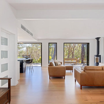 Eden Hills Kitchen & Living Renovation
