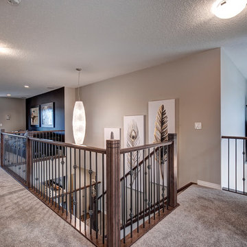 The Vivo Showhome in Harmony