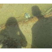 Tricia Reimer's photo