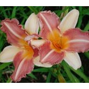 Peggy Hill's photo