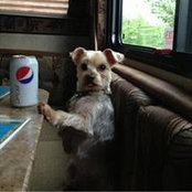 Joyce Wiz's photo