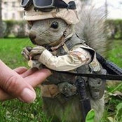 Michel Blachowski's photo