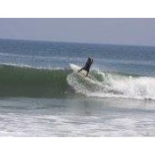 Ricky Leopold's photo