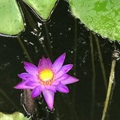 Cathy Cerdedo's photo