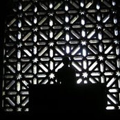Mike Cruz's photo