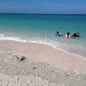 Sandra Welch's photo