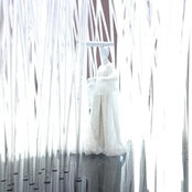 Erin Perry's photo
