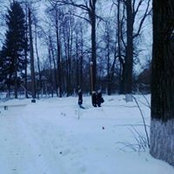 Наталия Галетаs foto