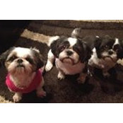 Bev Vasconcellos's photo