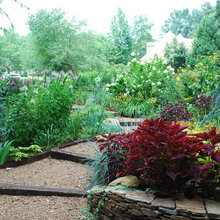 Landscape Ideas
