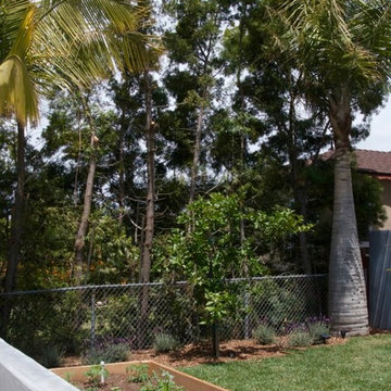 Mar Vista Magic with new vegetable garden.