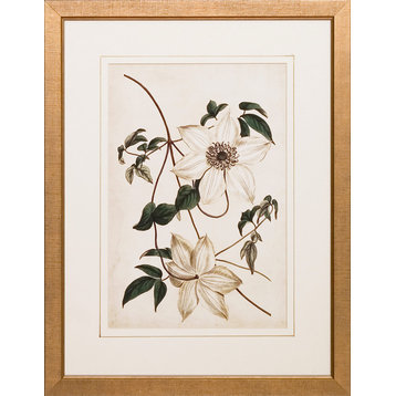 Ivory Florals Framed Art Print Set
