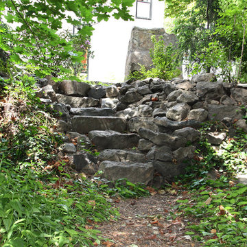 Cliff Park Modern