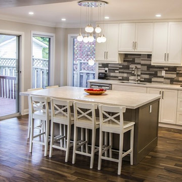 Mississauga Whole House Renovation