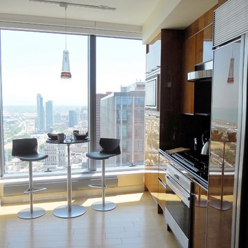 Contemporary Condominium overlooking Michigan Avenue and Lake Michigan