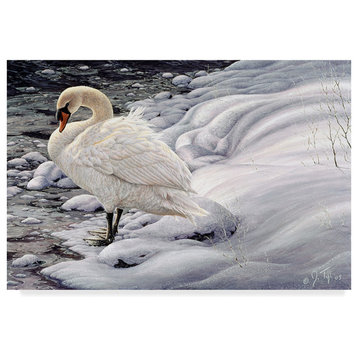 Jeff Tift 'Edge Of Light Mute Swan' Canvas Art, 32"x22"