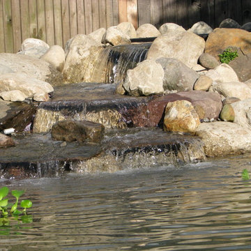 Casella Pond Renovation