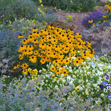Spring Color for entry impact