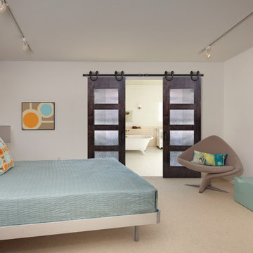 Sliding Barn Doors-Birch Santa Monica Contemporary Door • 8´0˝ Tall