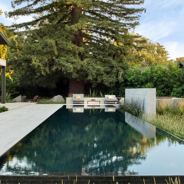 Contemporary Style with Infinity / Lap Pool