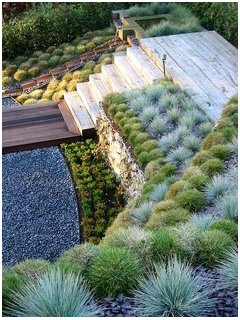 Help With Planting Large Flower Bed