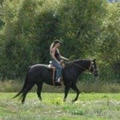 Dawn Filice's photo