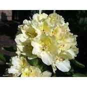 Pamela Kocher's photo