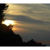 Pamela Arms's photo