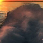 Mike Abella's photo