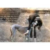 Maria Dimaria-Veit's photo