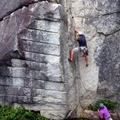 Ryan Lynne's photo