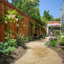 Side Yard