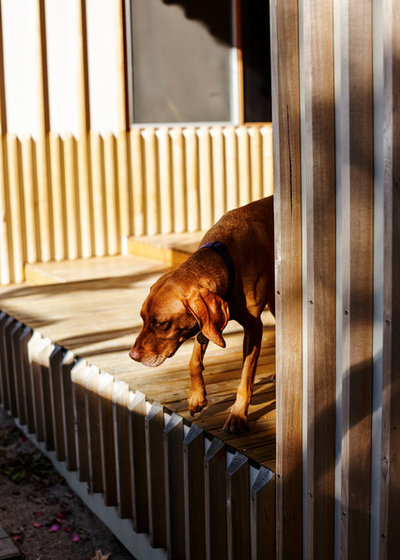 Современный Терраса by FMD Architects