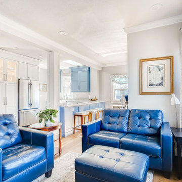 Blue Leather Couches