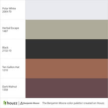 Paint Color Pallette